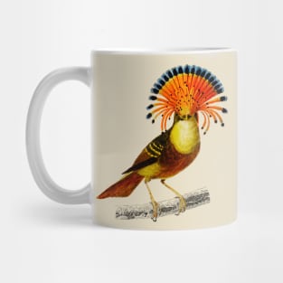 Vintage royal flycatcher bird - animalia Mug